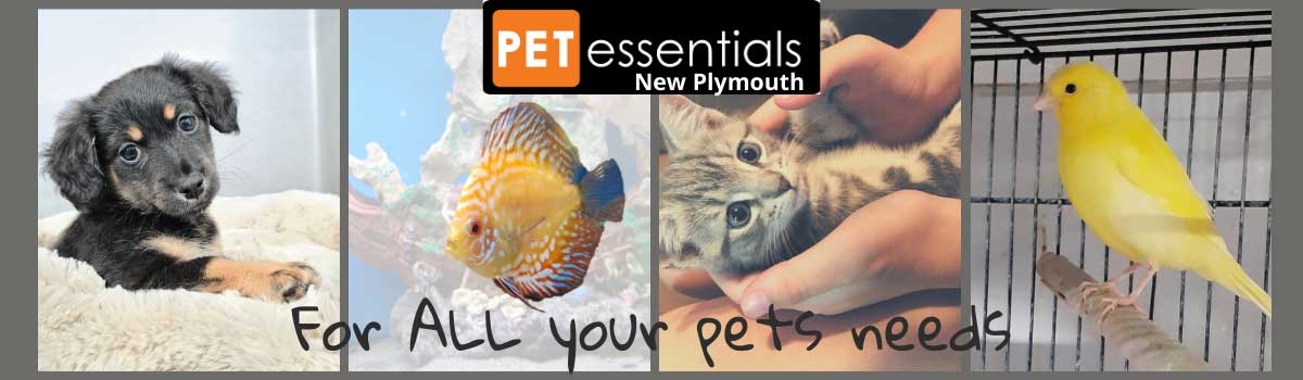 Pet essentials online hotsell