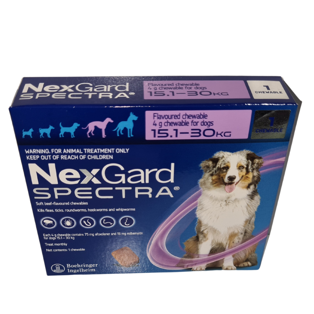 Nexgard flea hot sale and worm