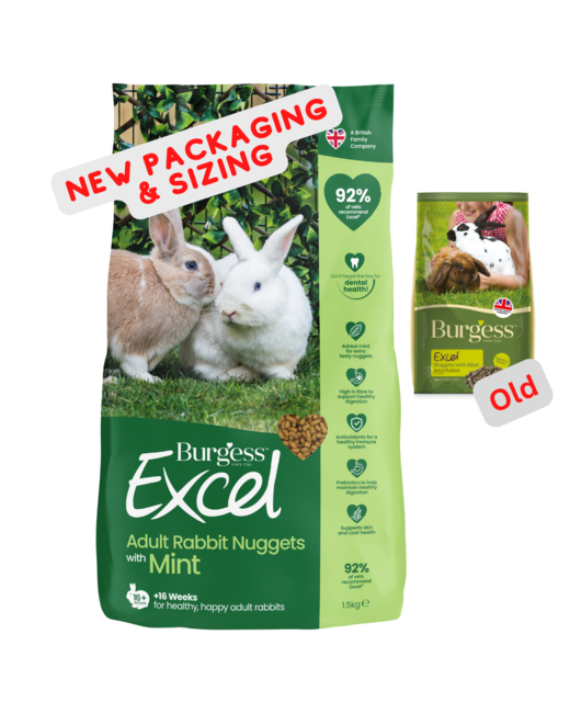 Burgess Excel Adult Rabbit Nuggets with Mint 1.5kg