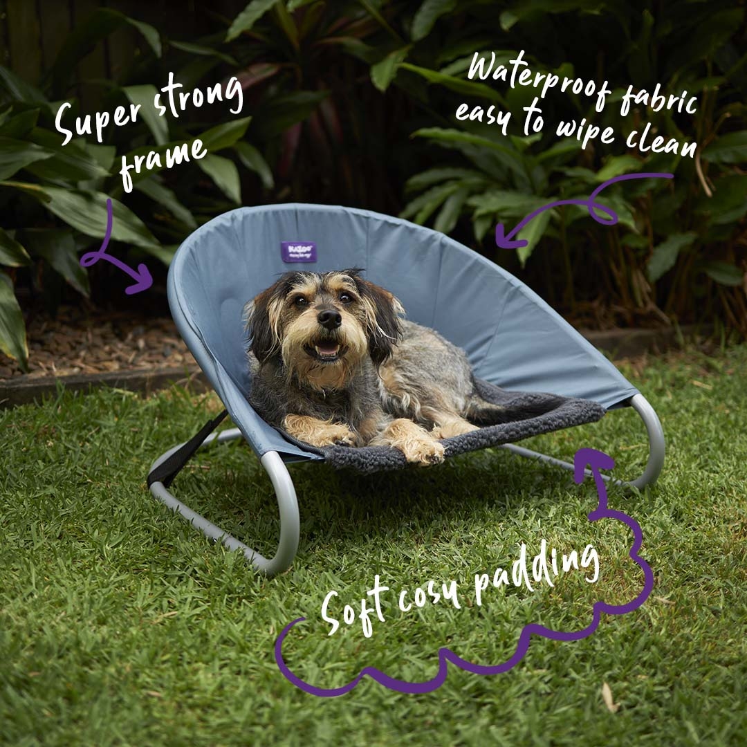 Outdoor dog hammock sale