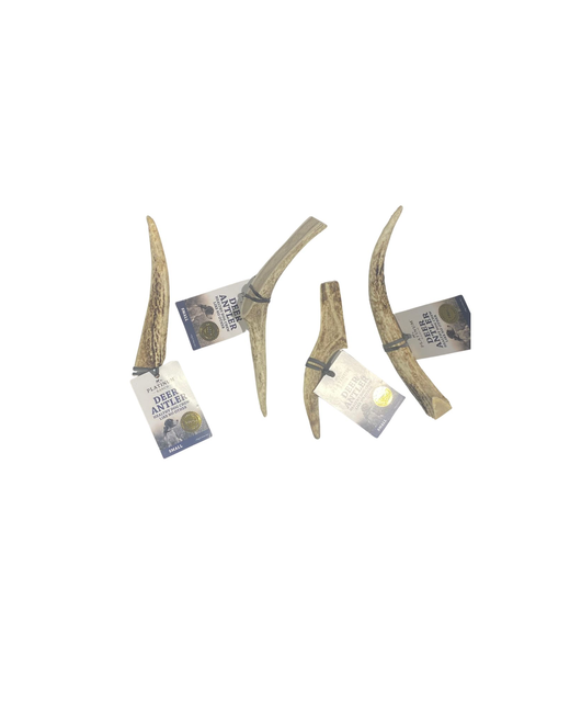 Deer Antler Small 