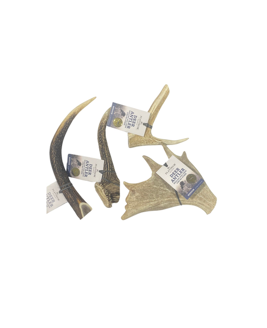 Deer Antler Medium 