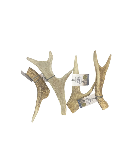 Deer Antler Large 