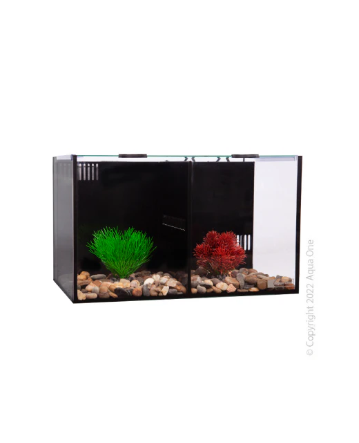 AquaOne Betta Condo Duo