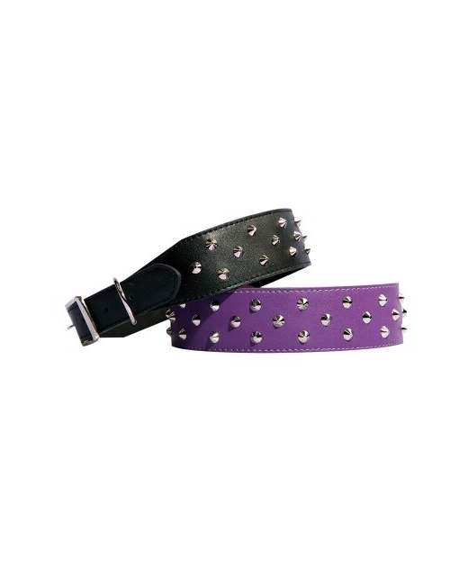 Pet One Studded Leather Collar Black 65cm