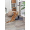 Scratching Post Batres 62cm - Grey